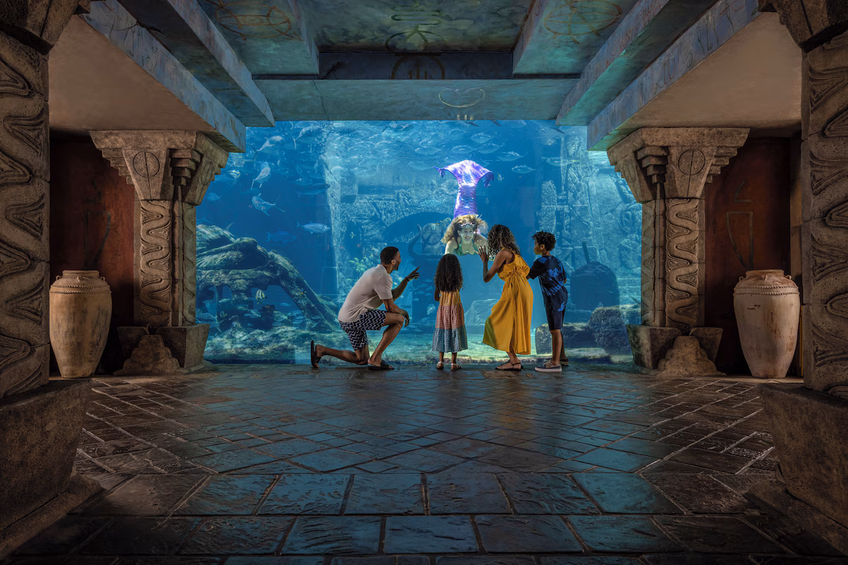 Meet a mermaid