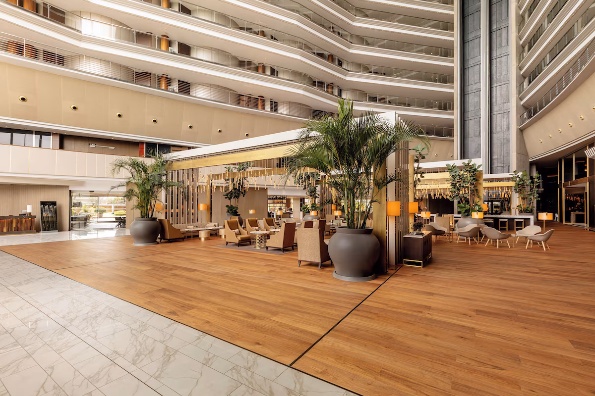 Hotel lobby and bar